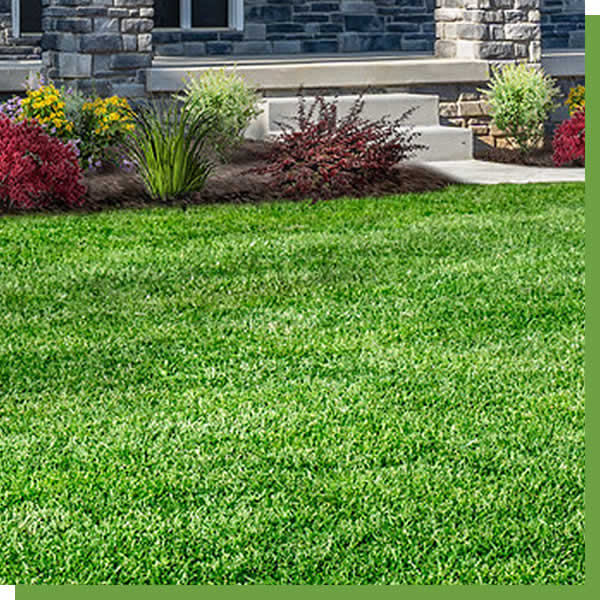 Kalamazoo Lawn Care Services Kalamazoo Michigan