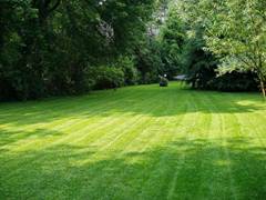 nice-lawn